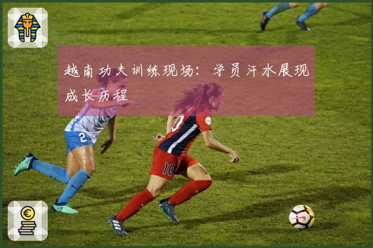 越南功夫训练现场：学员汗水展现成长历程